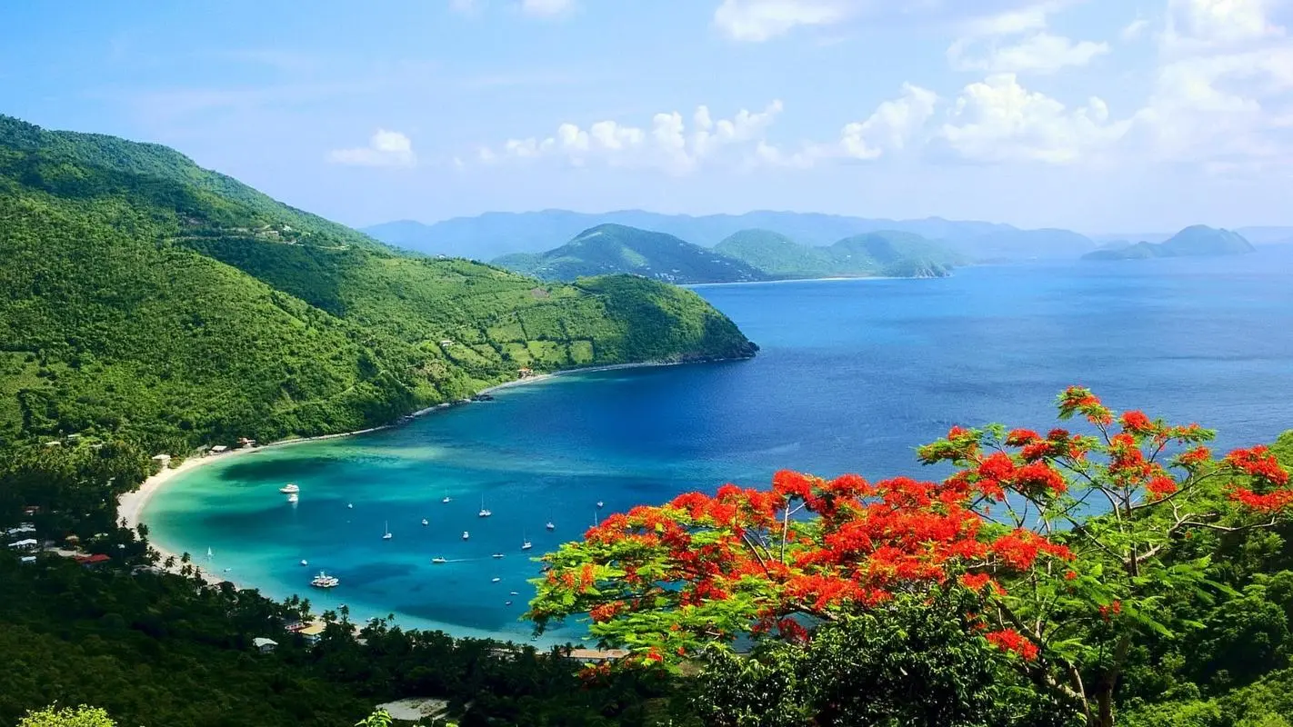 科技高标准智能